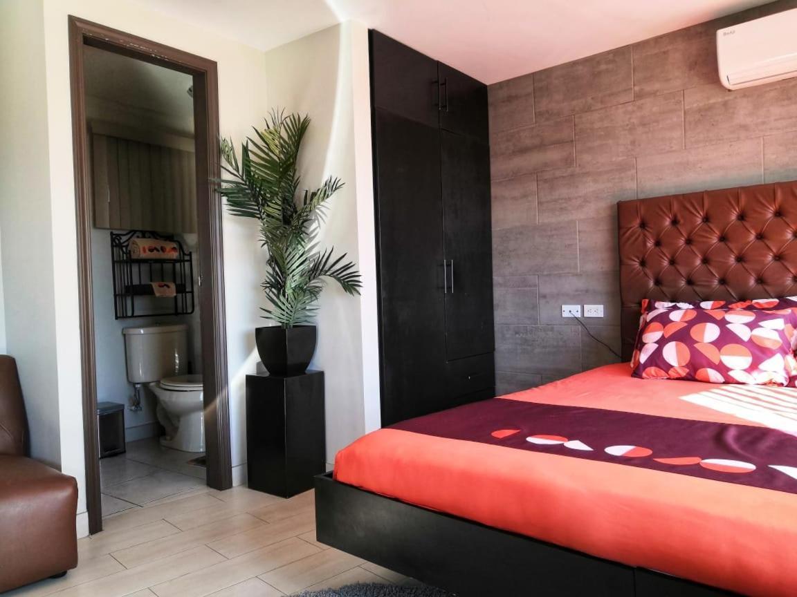 Hoteles CC Tijuana Extérieur photo