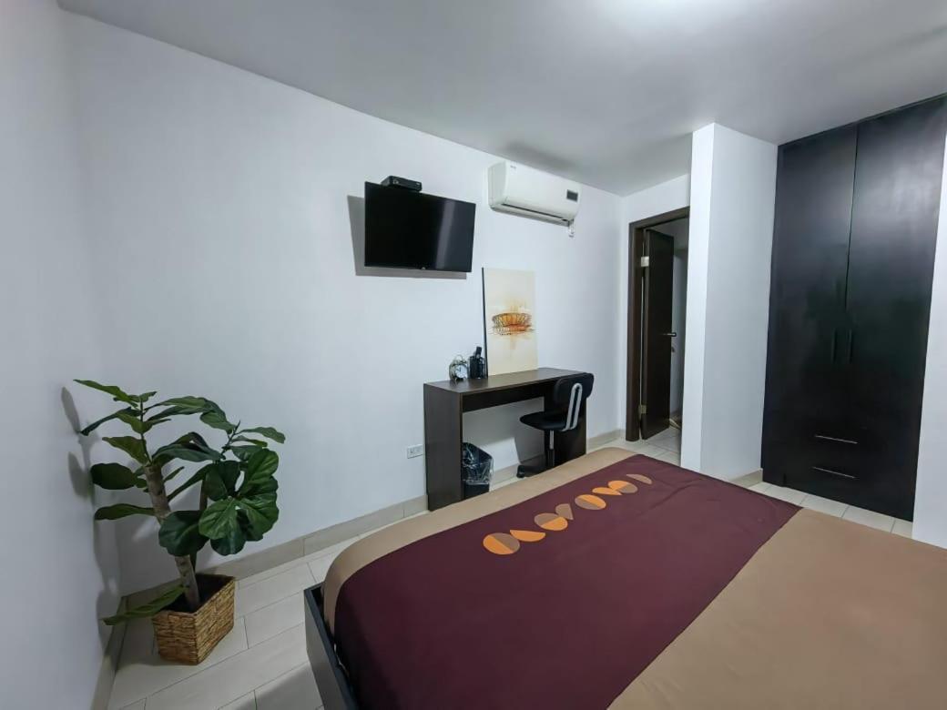 Hoteles CC Tijuana Extérieur photo