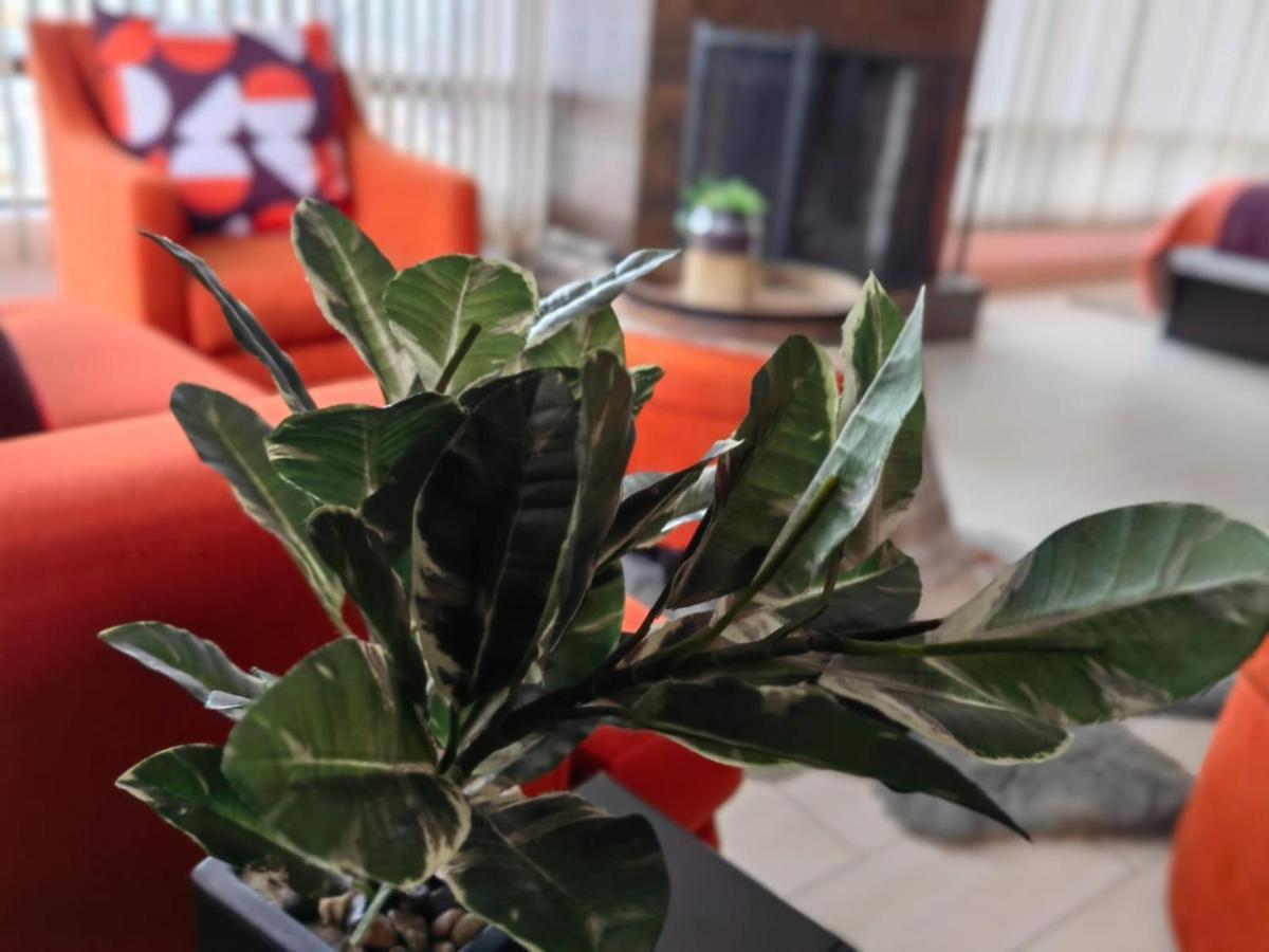 Hoteles CC Tijuana Extérieur photo