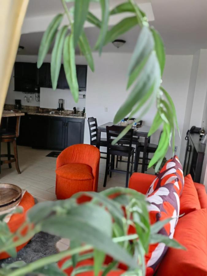Hoteles CC Tijuana Extérieur photo